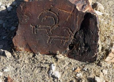 خبرنگاران سنگ نگاره های هزار ساله در داورزن کشف شد