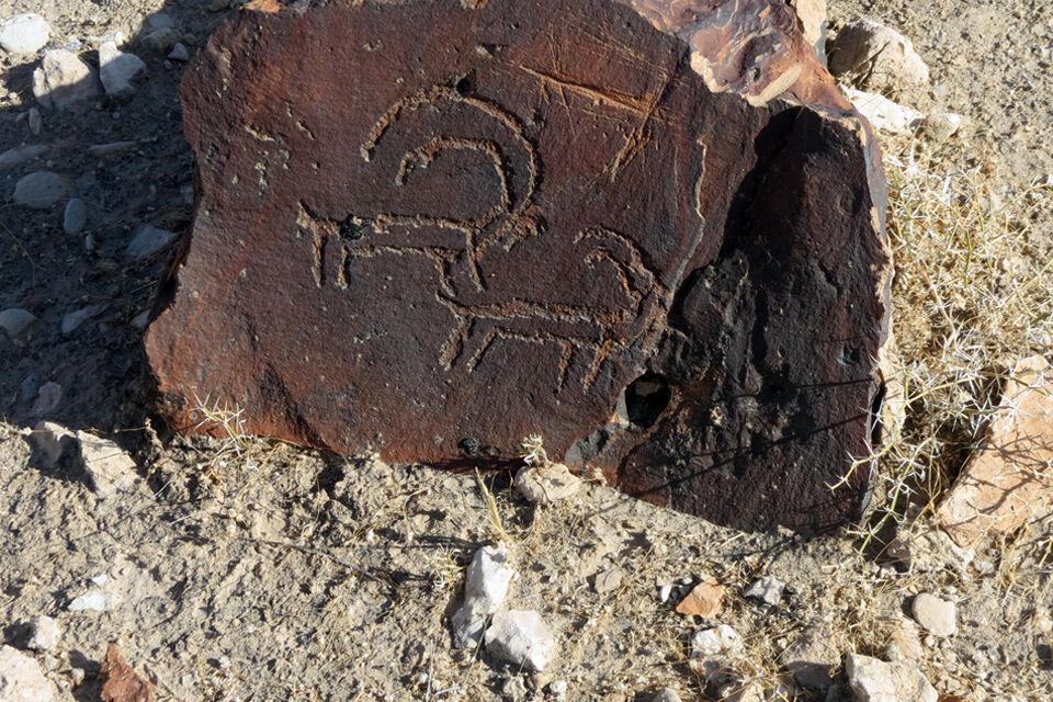 خبرنگاران سنگ نگاره های هزار ساله در داورزن کشف شد