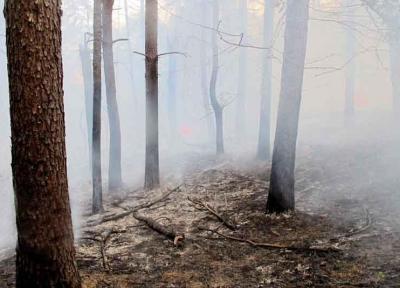 هشدار درباره احتمال آتش سوزی جنگل ها و آلاینده های جوی در سمنان