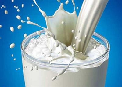 قیمت شیر خام 55 درصد افزایش یافت