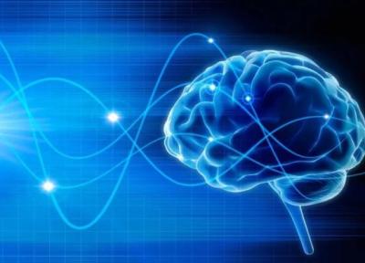 ظهور کامپیوترهای مبتنی بر مغز انسان